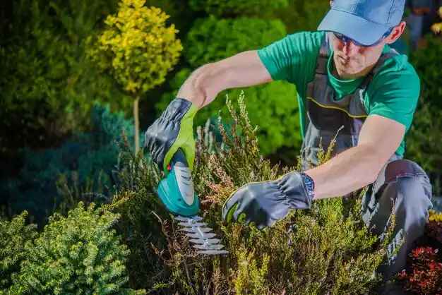 landscaping services Richfield Springs
